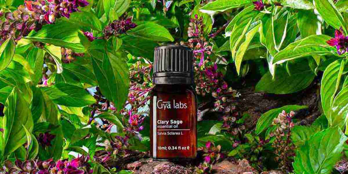 Organic Purity Unveiled: The Essence of Gyalabs Organic Clary Sage Essential Oil