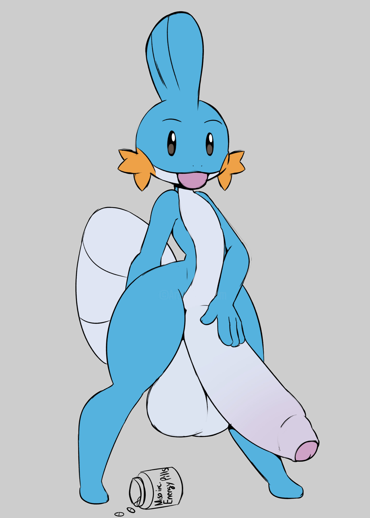 Mudkip Needs Your Help, Digital Arts by Happy The Red | Artmajeur