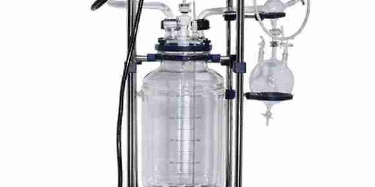 Key Challenges and Opportunities: Glass Reactors Market Analysis for 2033