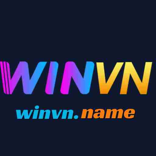 Winvn name