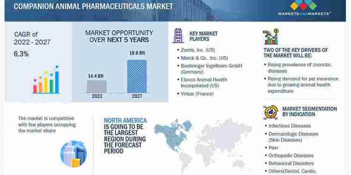 Companion Animal Pharmaceuticals Market Demands, Trends, Top Companies Analysis and Future Outlook