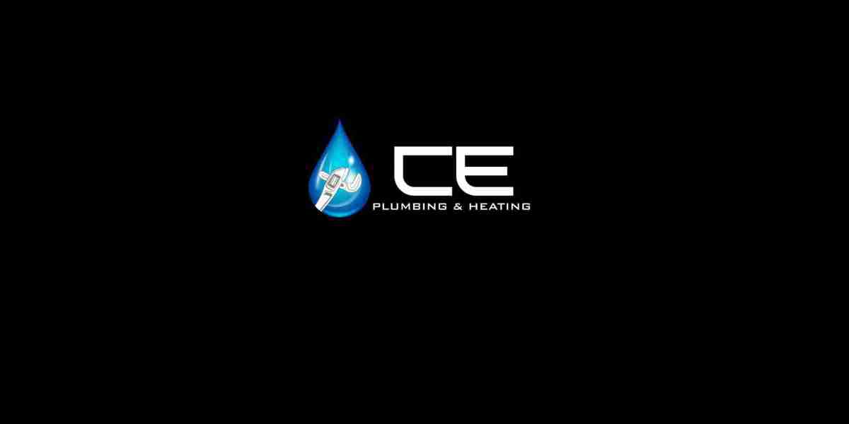 Kelowna Plumbers: Keeping Homes and Businesses Flowing