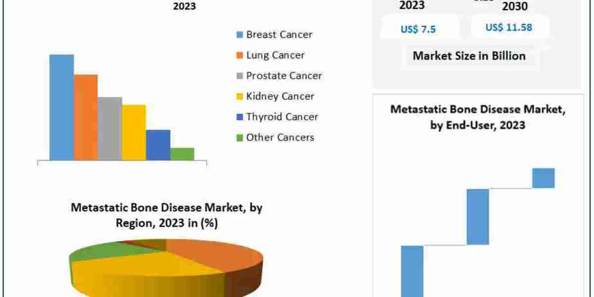 Metastatic Bone Disease Market Forecast 2024-2030: Comprehensive Analysis of Growth Factors, Trends, and Opportunities