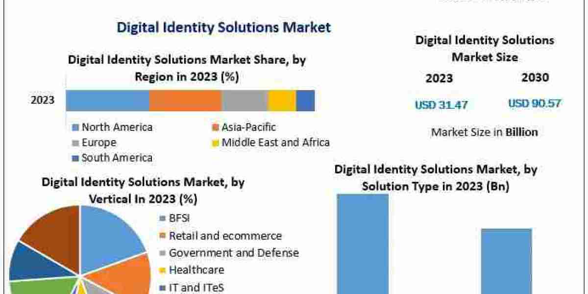 2024-2030 Outlook: Digital Identity Solutions Market Analysis