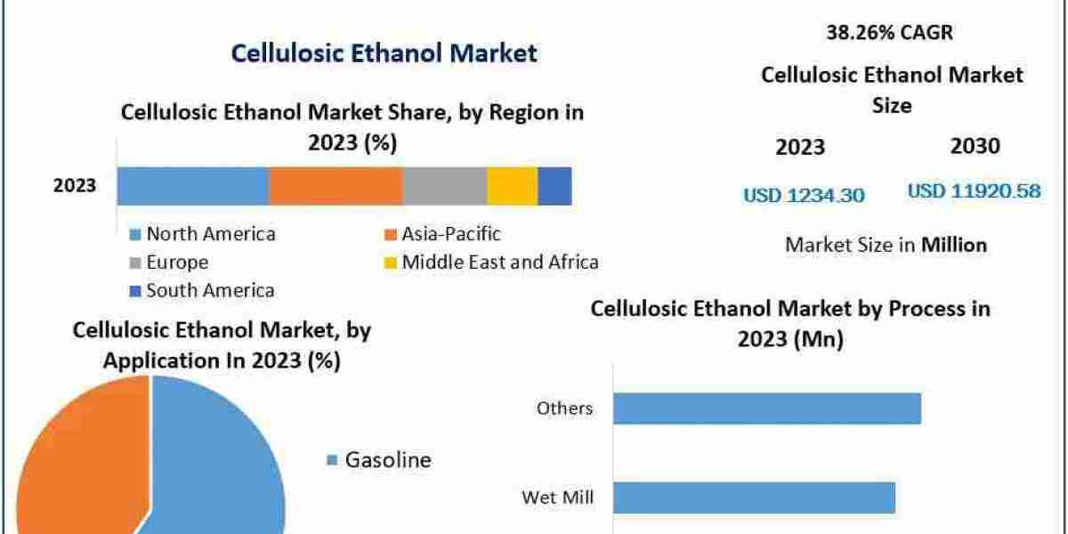 Cellulosic Ethanol Market (2024-2030): Growth, Trends, and Industry Outlook