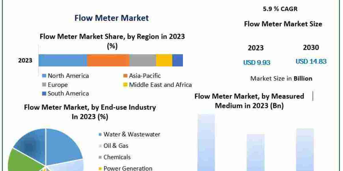 Enhancing Efficiency in Fluid Systems: Analyzing the Flow Meter Market (2024-2030)