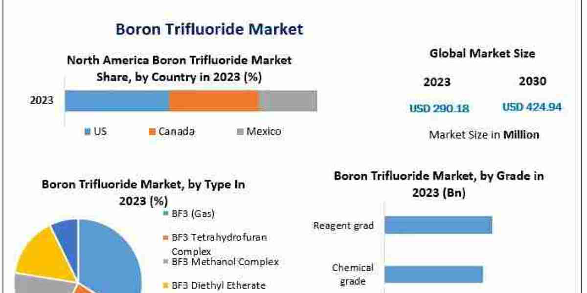 Future Trends in the Boron Trifluoride Market 2024-2030