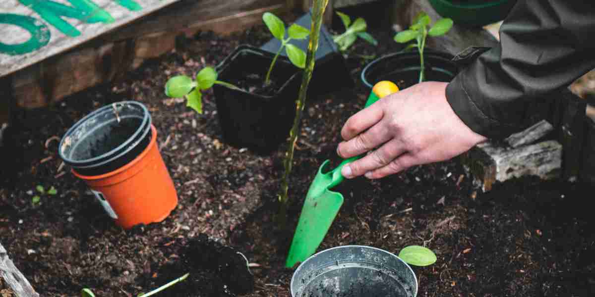 Eco-Conscious Plant Care: Utilizing Organic Fungicides to Combat Common Diseases