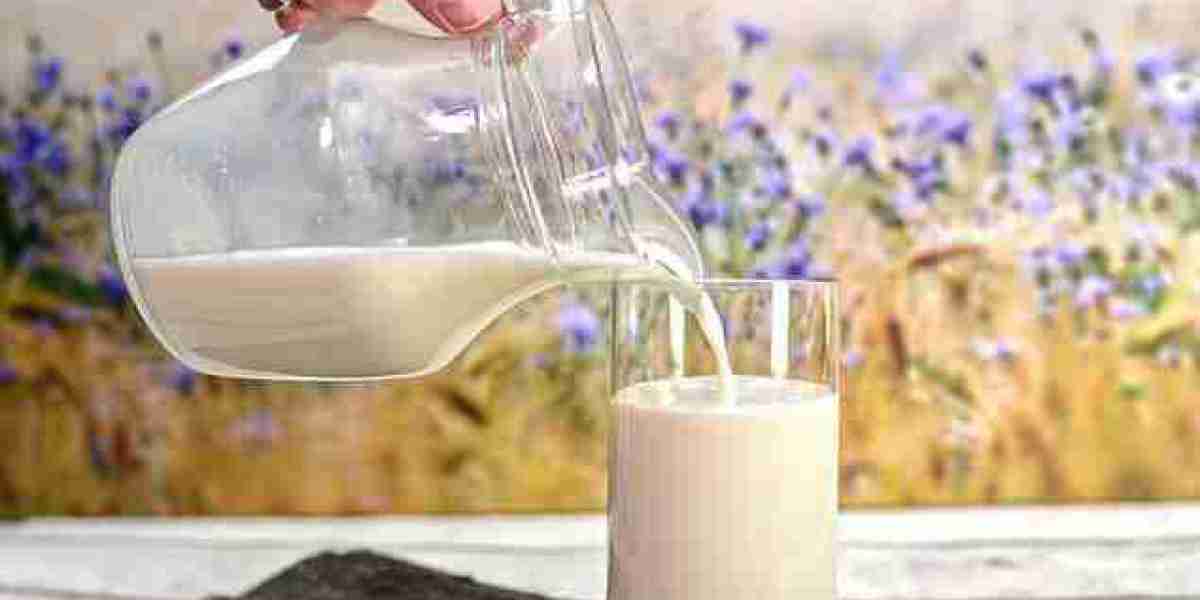 Milk Depot: Empowering You to Make Fresh Filtered Hazelnut Milk at Home