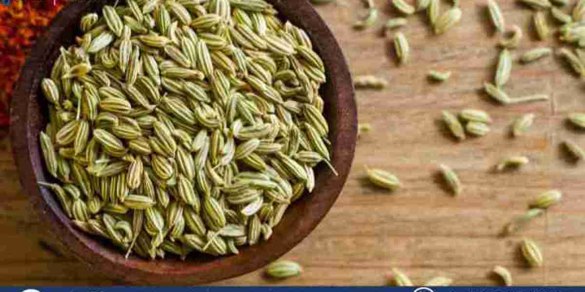 Commercial Seeds Market 2024-2032: Growth Insights, Trends, and Key Players