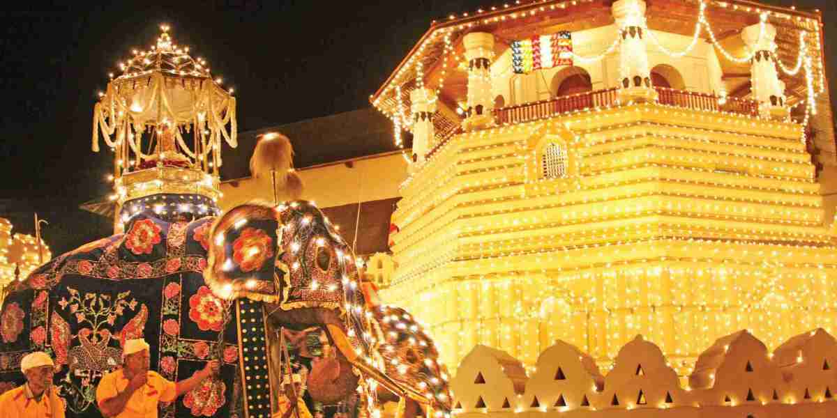 The Kandy Esala Perahera: A Spectacle of Sri Lankan Culture and Devotion