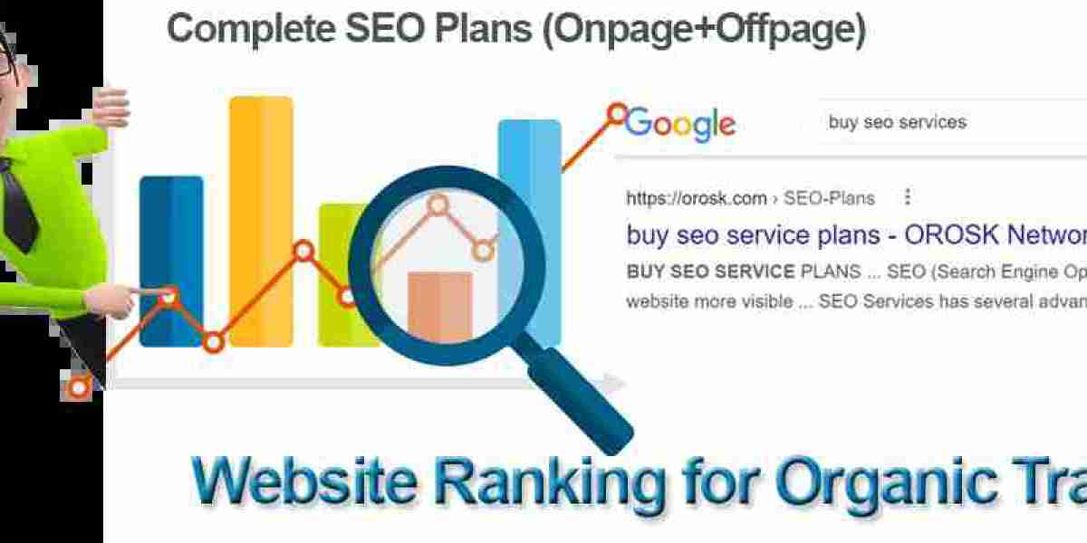 Boost Your Online Presence with SEO Packs