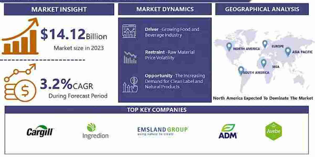 Modified Starch Market: USD 18.75 Billion by 2032 and Expected to Grow at a CAGR of 3.2%