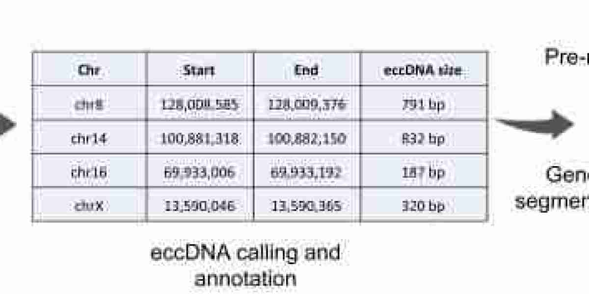 Comprehensive Review of Circle Sequencing