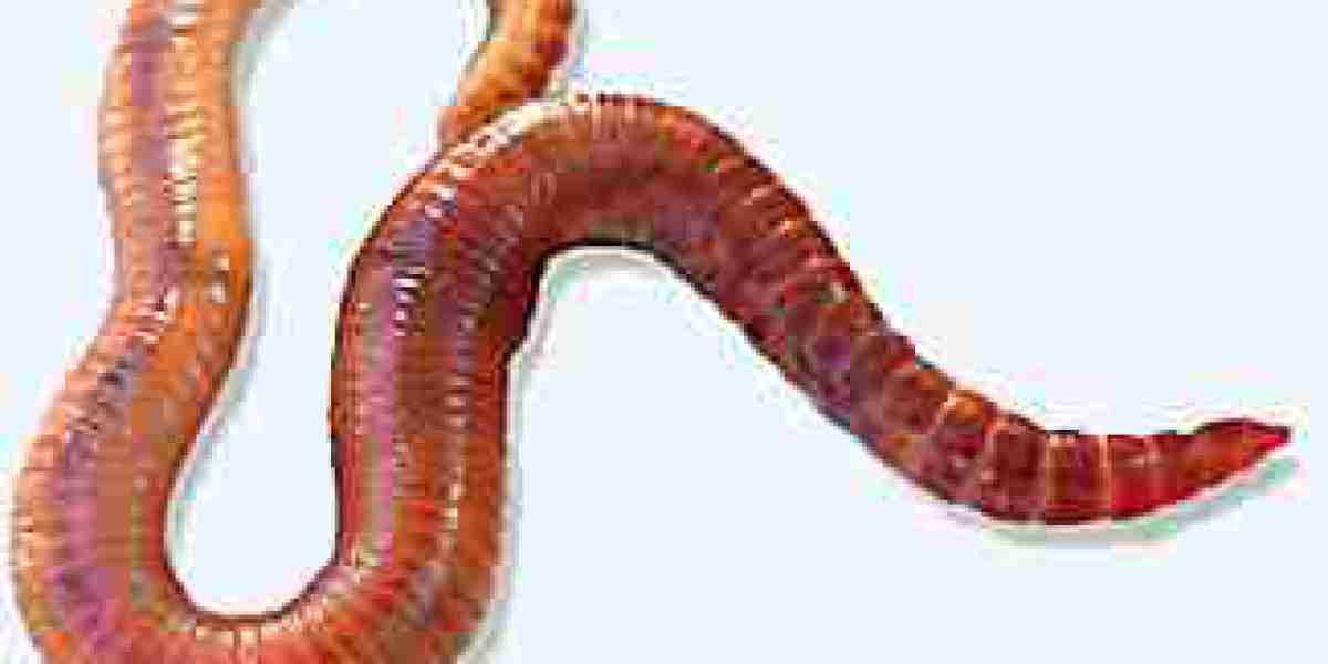 Red Wiggler Compost Worms: The Eco-Friendly Way to Enhance Your Garden