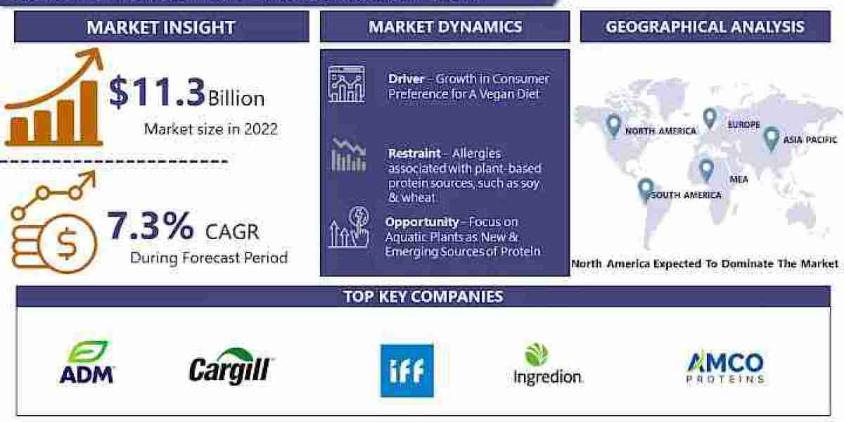 Global Plant-Based Protein Market Size to Surpass USD 42.30 million with a Growing CAGR of 6.90% by 2032