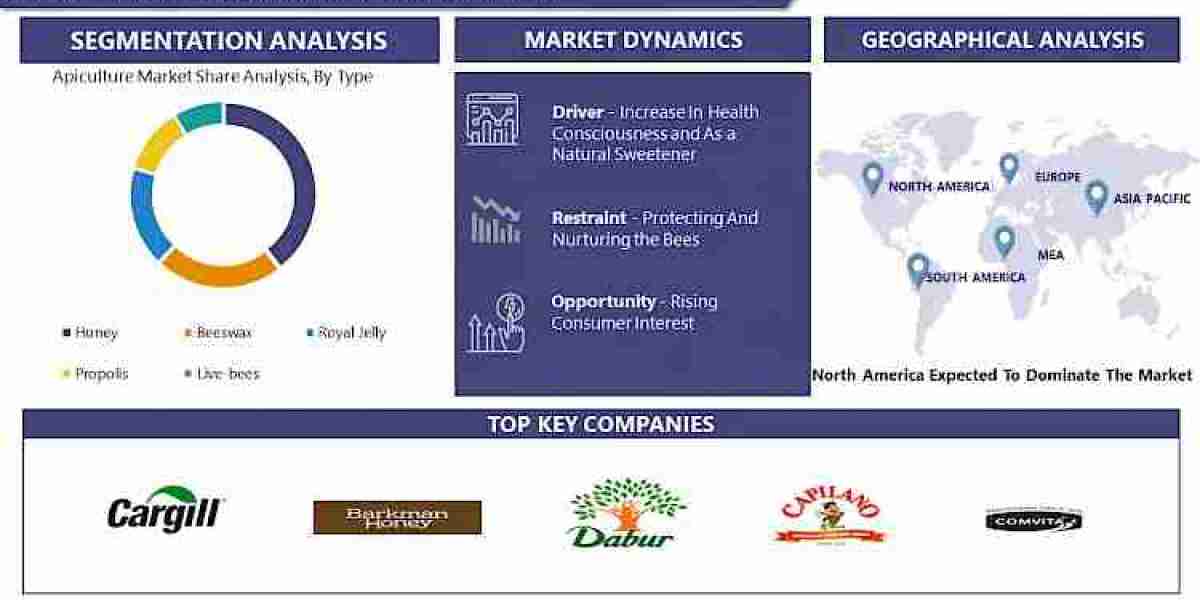 Apiculture Market: Innovation, Applications, and Economic Impact | IMR