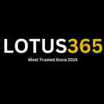 Lotus365 app