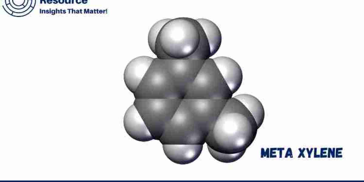 Meta Xylene Price Trend: Navigating the Complexities of the Aromatic Hydrocarbon Market in 2024