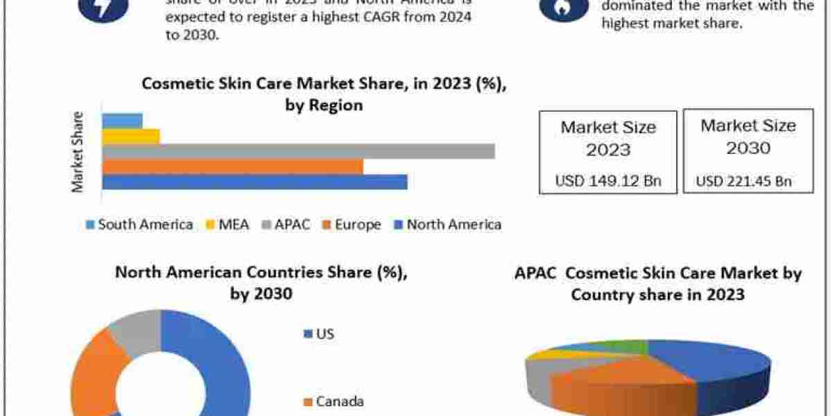 Global Cosmetic Skin Care Market Business Strategies, Revenue and Growth Rate Upto 2030