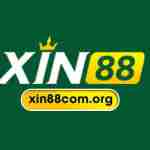 xin88com org