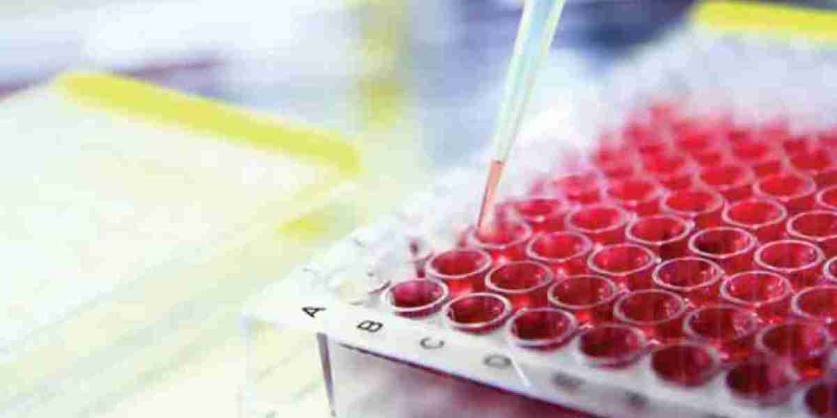 Global Cell-based Assays Market | Share | Size | Trends | Growth | Reports | Forecast | 2024 - 2032