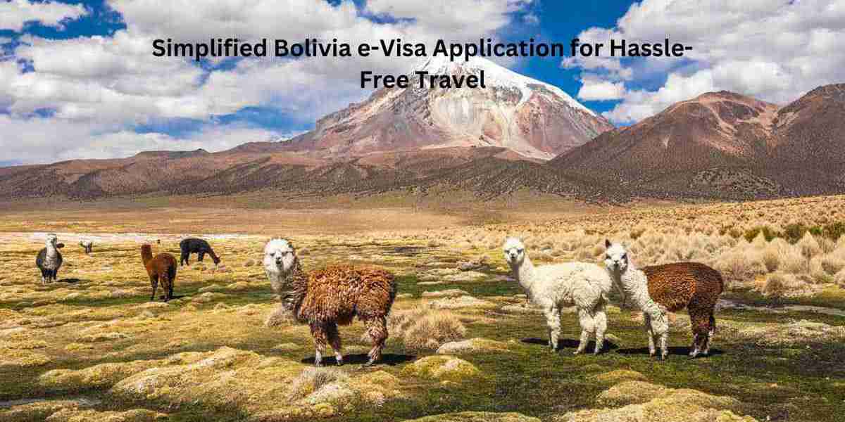 Simplified Bolivia e-Visa Application for Hassle-Free Travel