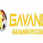 Gavang tv