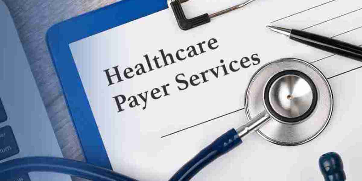 Global Healthcare Payer Services Market: Overview, Trends, & Growth Forecast 2024 - 2032