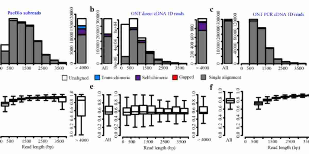 The Basics and Beyond of PacBio SMRT Sequencing