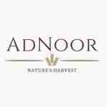 Adnoor Inc