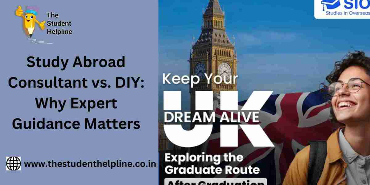 Study Abroad Consultant vs. DIY: Why Expert Guidance Matters