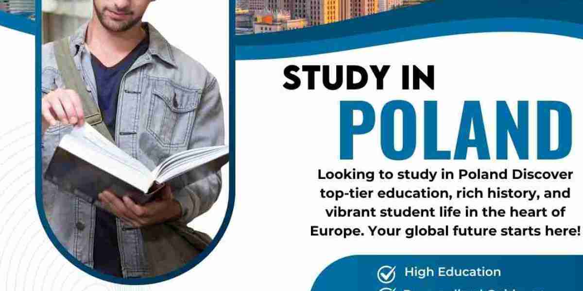 Understanding the Basics of a Study Visa