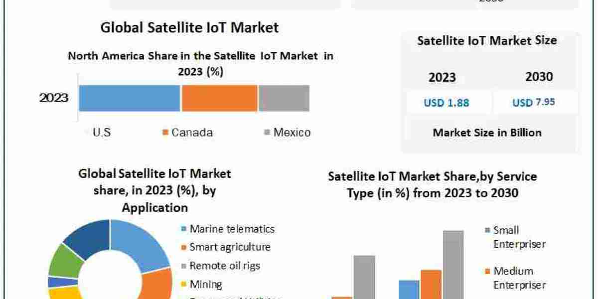 Global Satellite IoT Market: Key Players, Regional Dynamics, and Emerging Trends