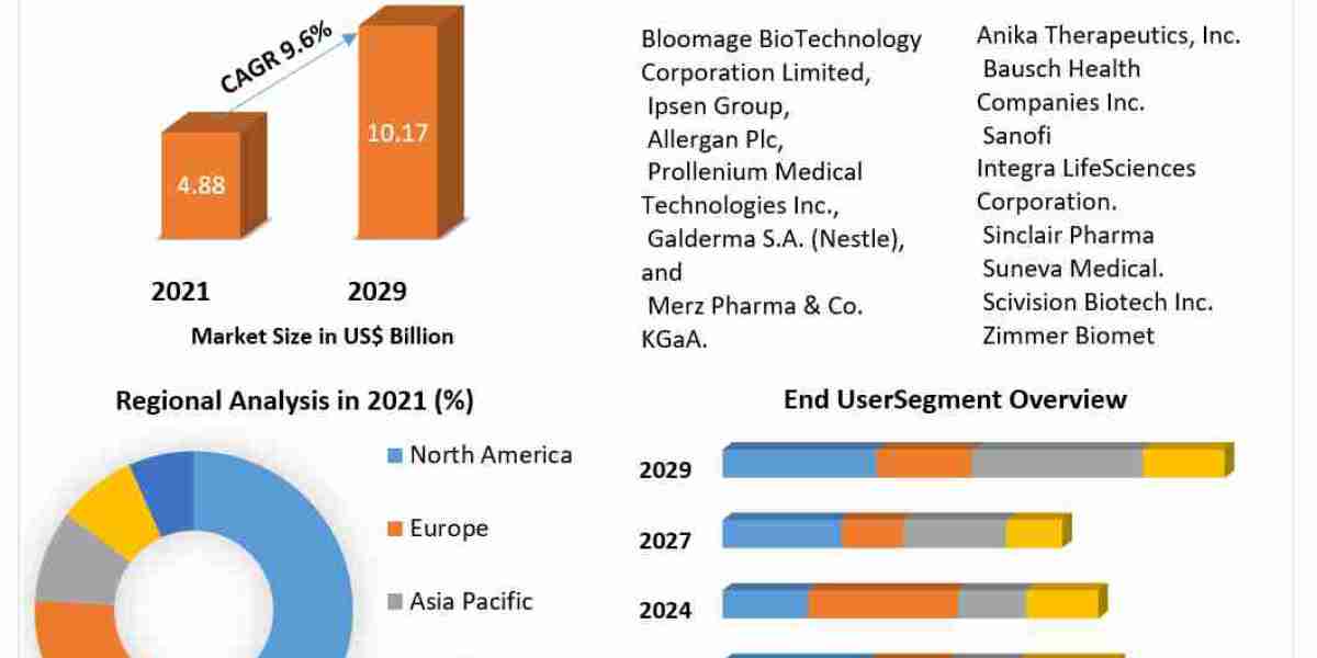 Facial injectables Market   Size  by Top Countries Data, Industry Analysis by Regions 2030