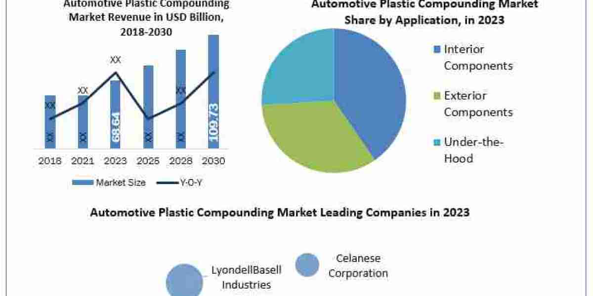 Automotive Plastic Compounding Companies Size, Unveiling Growth Potential and Forecasted Outlook for 2024-2030