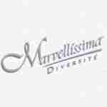 MARVELLÍSSIMA INTERNATIONAL LTD