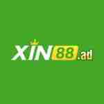 Xin88 ad