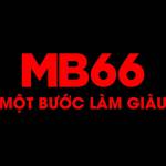 Mb66 Black