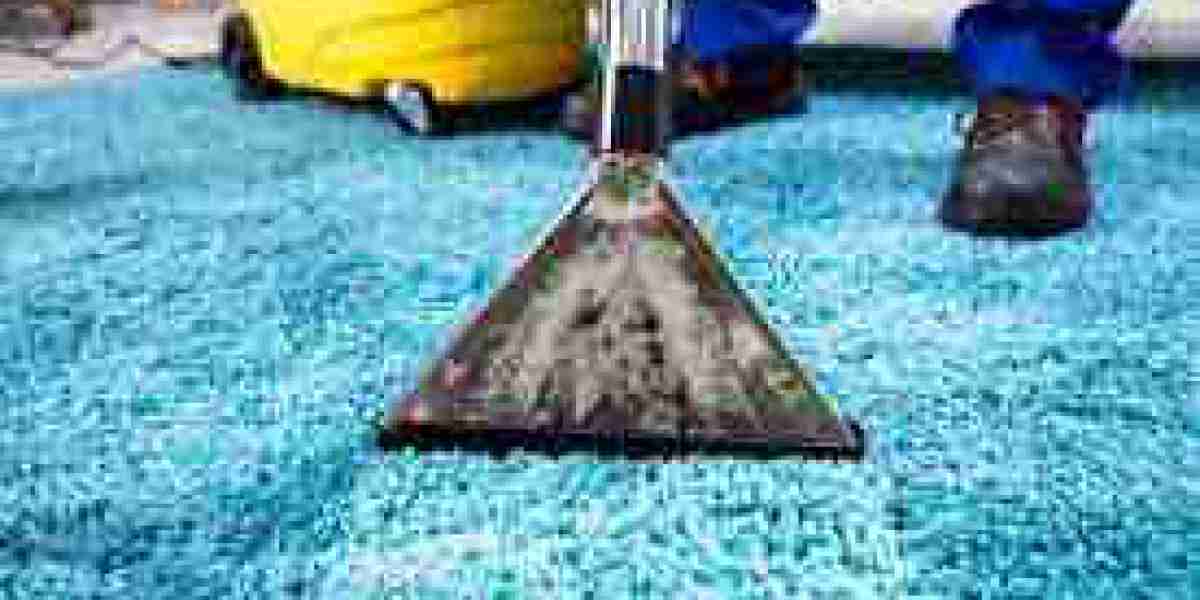 Professional Carpet Cleaning: A Key Factor in Home Comfort and Health