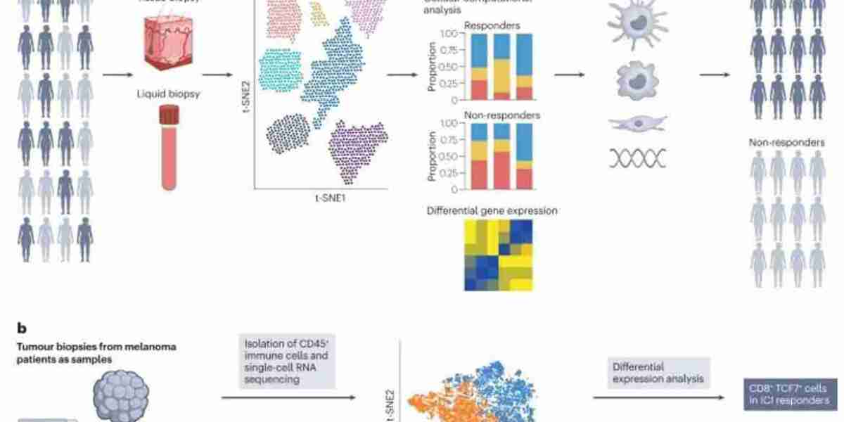 Single-Cell RNA Sequencing in Drug Discovery and Development