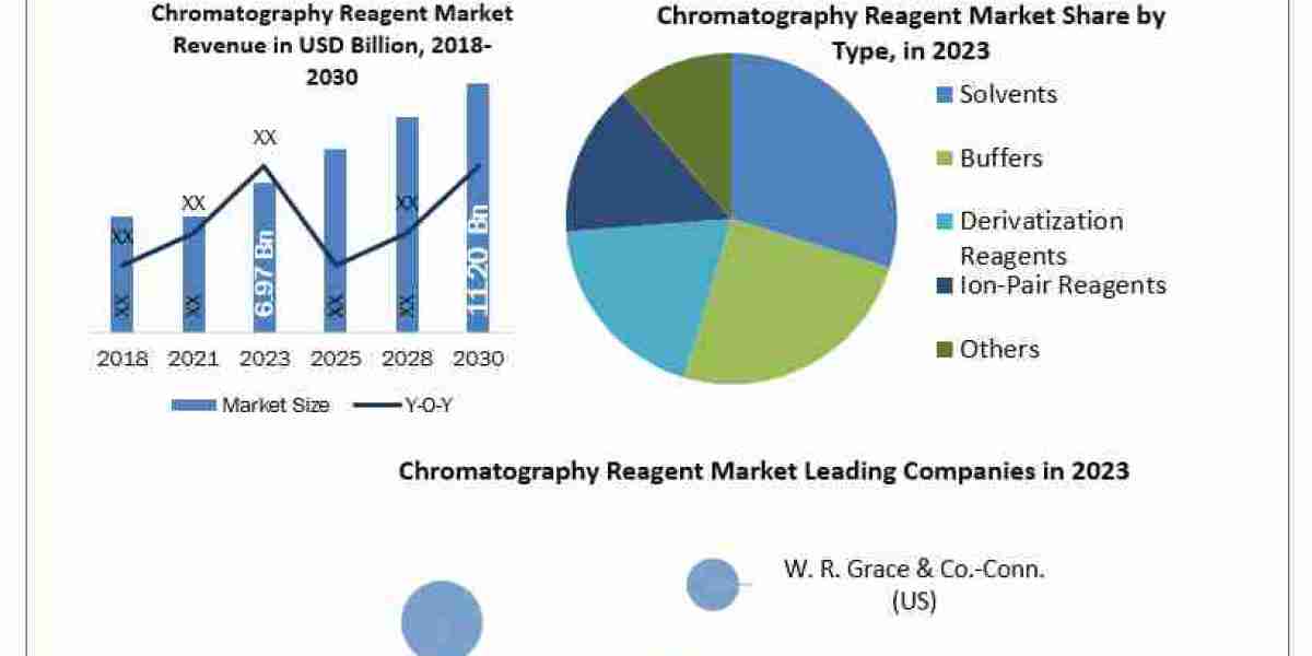 Chromatography Reagent Market Beyond the Basics: Size, Share, Revenue, and Statistics Overview  2024-2030