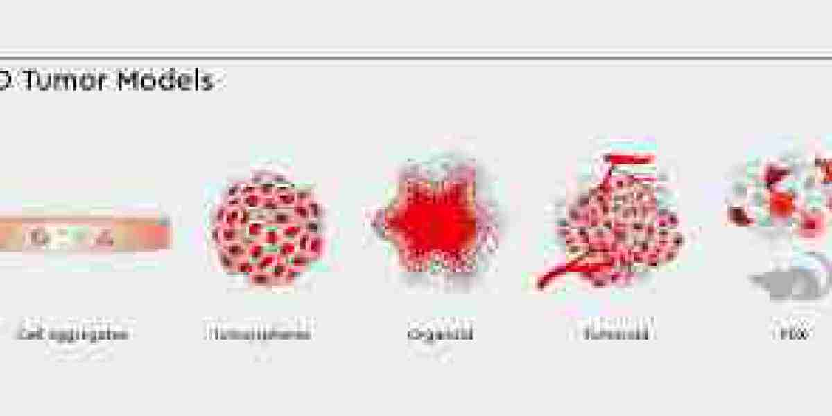 Tumor Models: The Backbone of Cancer Research