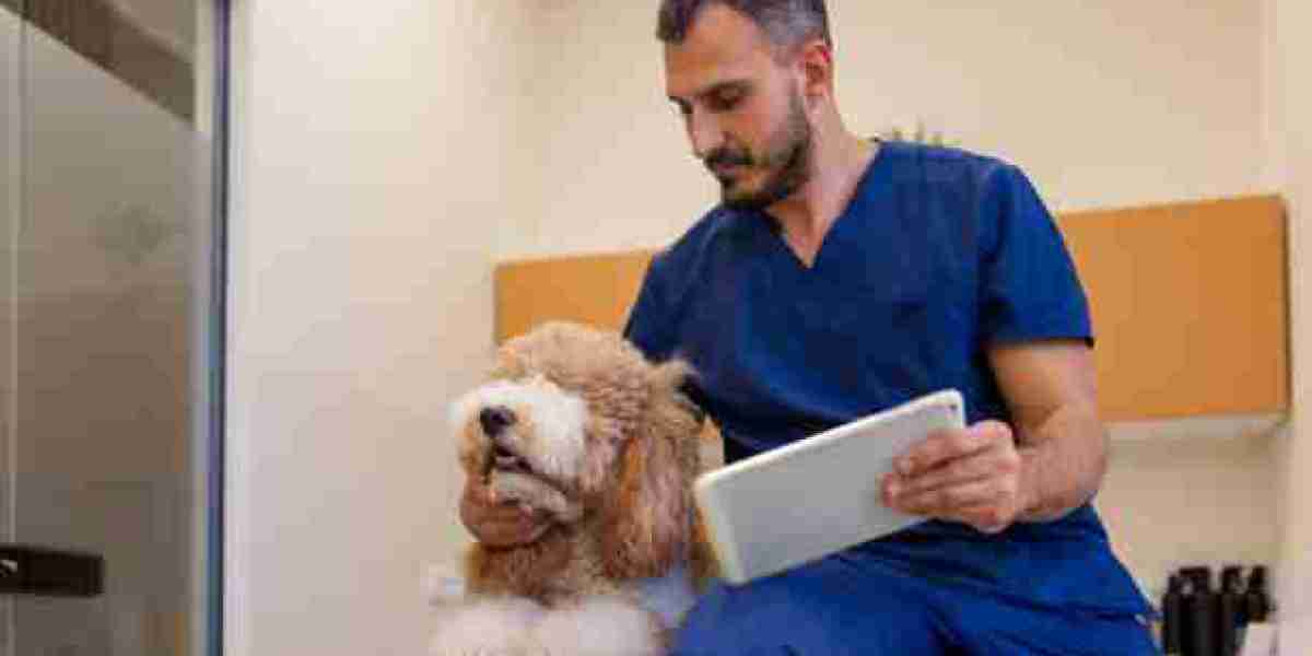 Compassionate Care for Every Pet: Welcome to Our Veterinary Hospital