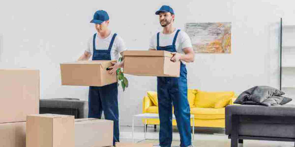 Why Choose Local Removal Companies Near Me for Your Move