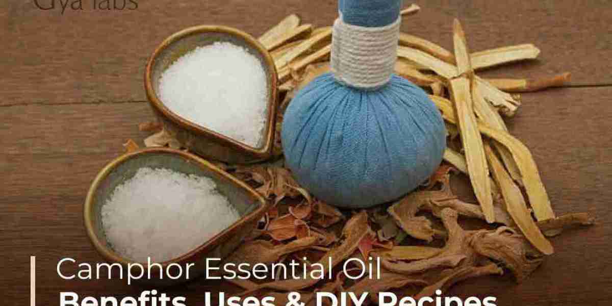 The Wonders of Camphor Oil: Benefits, Uses, and Precautions