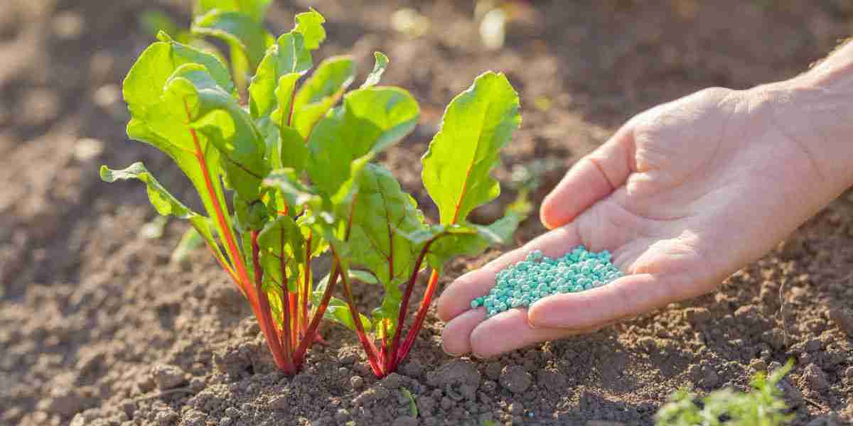 Fertilizantes en Chile: Clave para una Agricultura Sostenible y Productiva